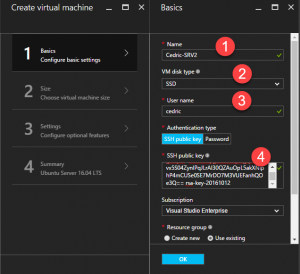 Setting up a Linux Virtual Machine on Microsoft Azure